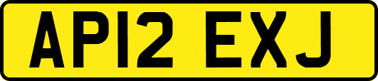 AP12EXJ