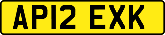 AP12EXK