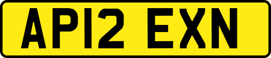 AP12EXN