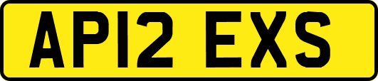 AP12EXS