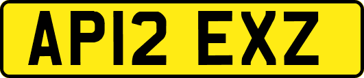 AP12EXZ