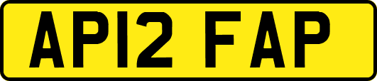 AP12FAP
