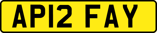 AP12FAY