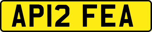 AP12FEA