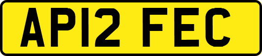 AP12FEC