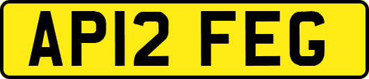 AP12FEG