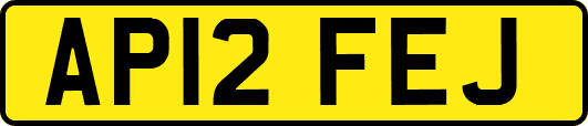 AP12FEJ