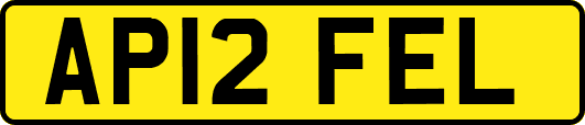 AP12FEL