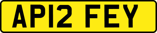 AP12FEY