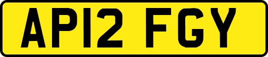 AP12FGY