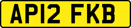 AP12FKB
