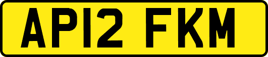 AP12FKM