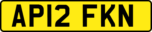 AP12FKN