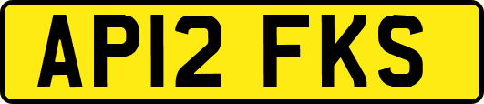 AP12FKS