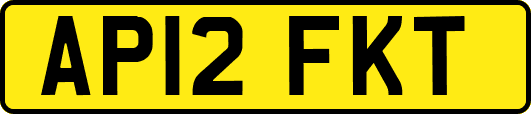 AP12FKT