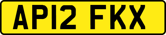 AP12FKX