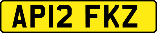 AP12FKZ