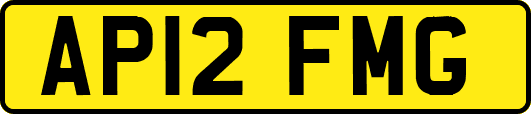 AP12FMG