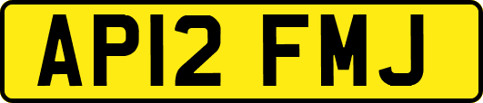AP12FMJ