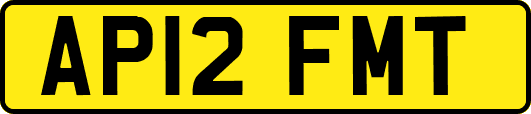 AP12FMT