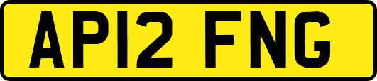 AP12FNG
