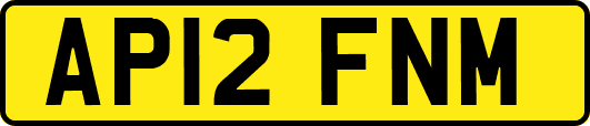 AP12FNM