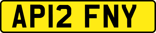 AP12FNY