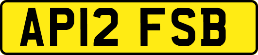 AP12FSB