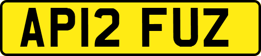 AP12FUZ