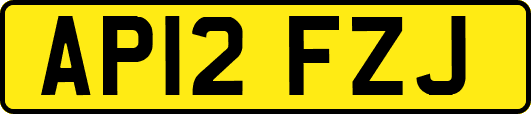 AP12FZJ