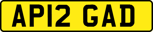 AP12GAD