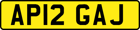 AP12GAJ