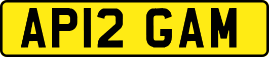 AP12GAM