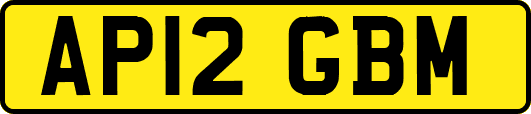 AP12GBM