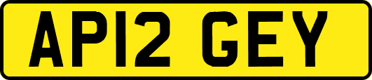 AP12GEY