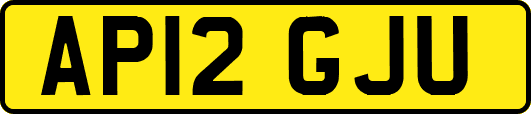 AP12GJU