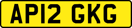 AP12GKG
