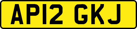 AP12GKJ