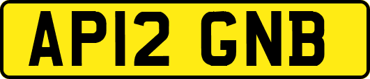 AP12GNB