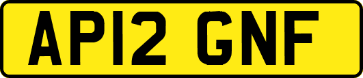 AP12GNF