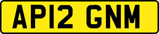 AP12GNM