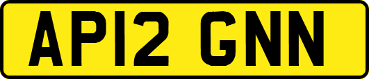AP12GNN