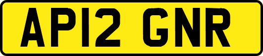 AP12GNR