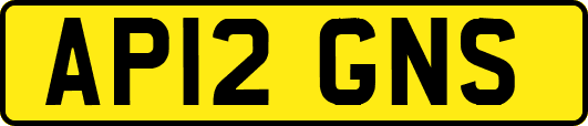 AP12GNS