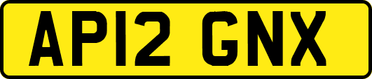 AP12GNX
