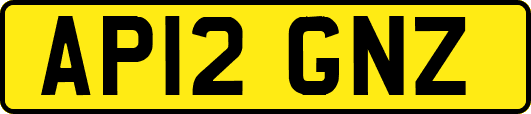 AP12GNZ