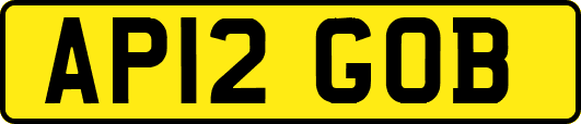 AP12GOB