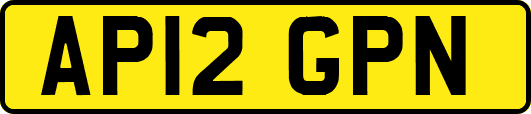 AP12GPN