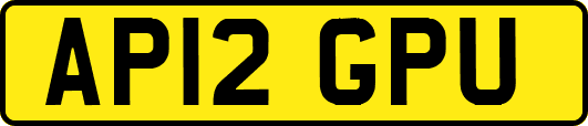 AP12GPU