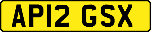 AP12GSX